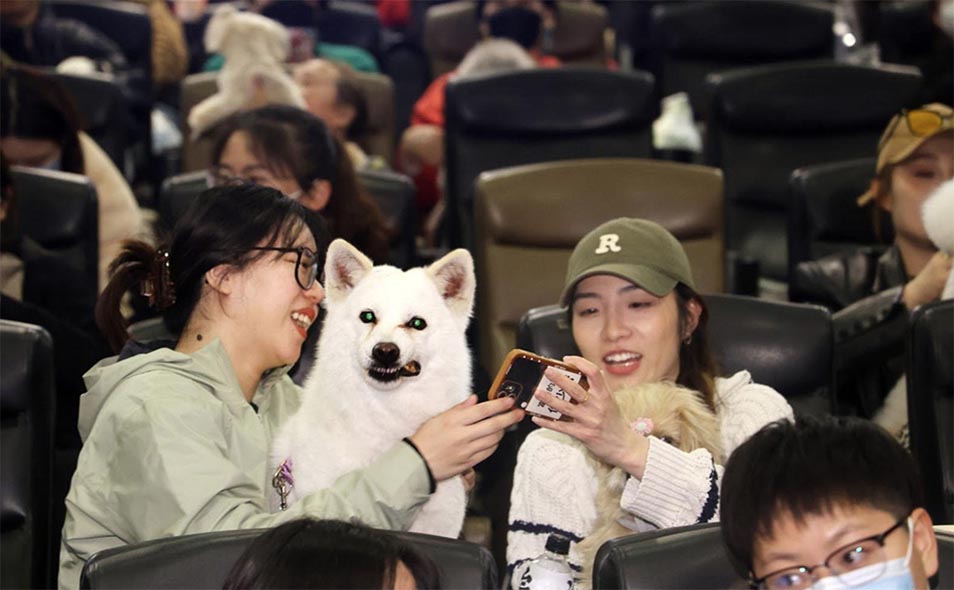 Perro que ladra, economía que crece 2 Perro que ladra, economía que crece