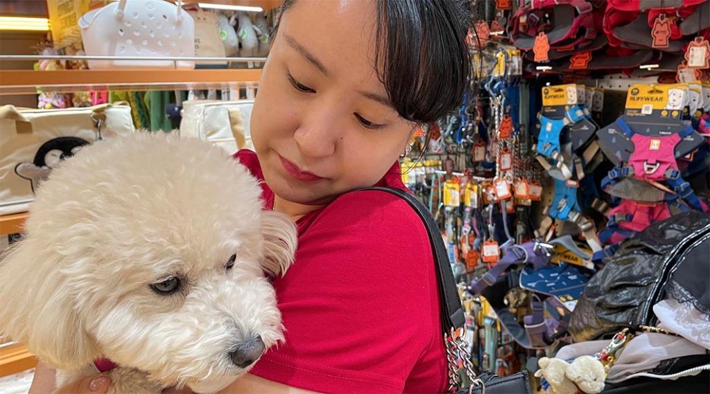 Perro que ladra, economía que crece 3 Perro que ladra, economía que crece