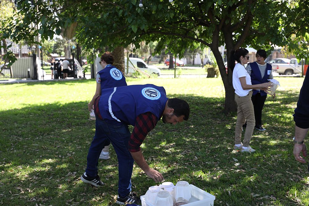 Confirman el primer caso de dengue autóctono en provincia de Buenos Aires 2 Confirman el primer caso de dengue autóctono en provincia de Buenos Aires