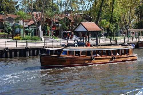 Restaurar el Delta con nativas: el desafío de reconciliar producción y conservación