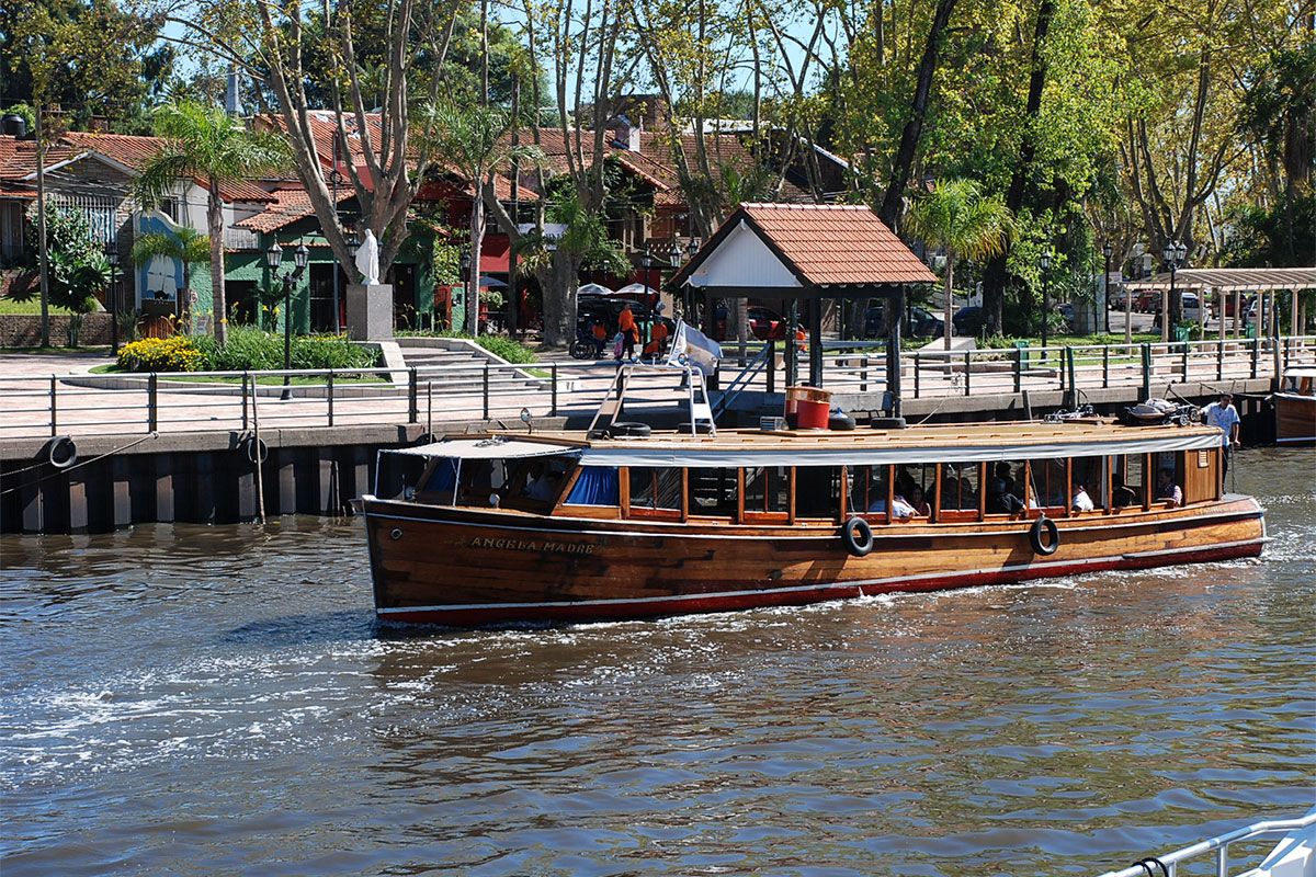 Restaurar el Delta con nativas: el desafío de reconciliar producción y conservación