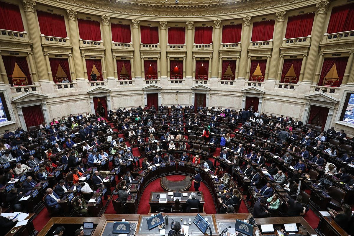 La oposición de Diputados convocó  a sesión para modificar la ley de DNU