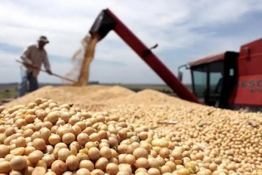 La soja en su laberinto: más siembra, menos rendimiento 1 La soja en su laberinto: más siembra, menos rendimiento