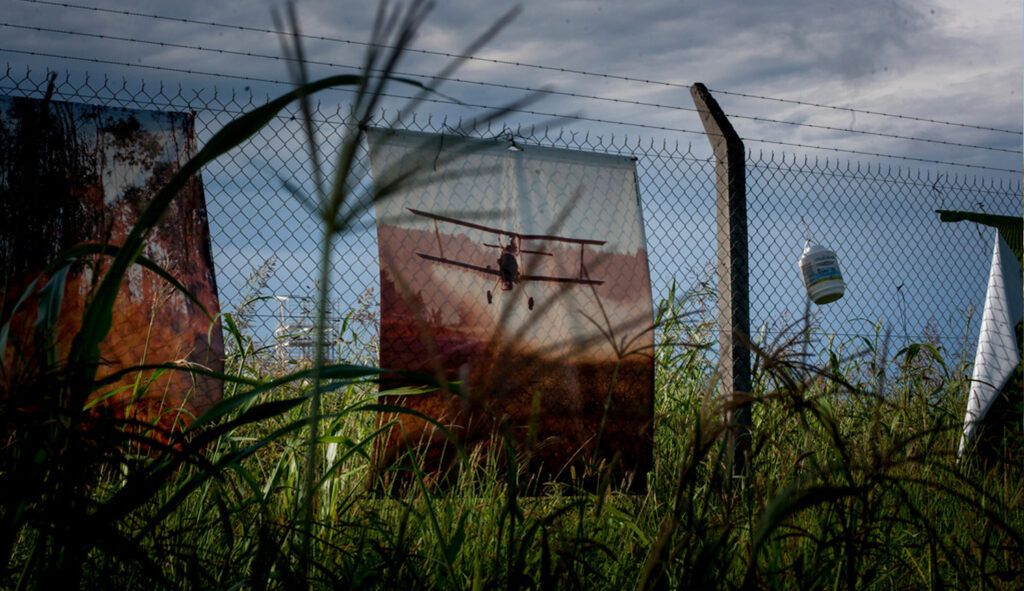 Cómo un plaguicida puede afectar el tratamiento del cáncer de mama