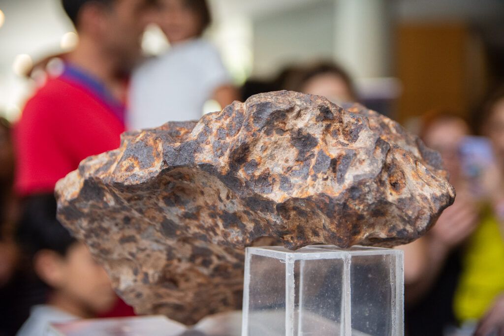 Presentaron un meteorito de más de 4 mil años en la Universidad Nacional de La Plata