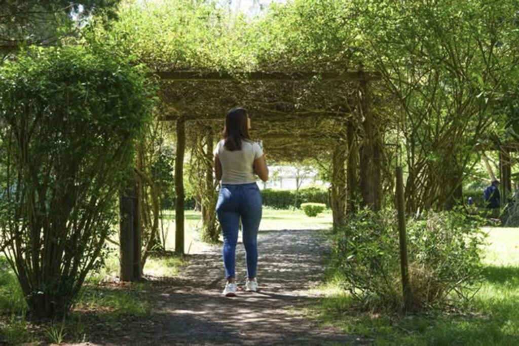 Un verdadero respiro de fin de año: cinco opciones para recibir al 2025