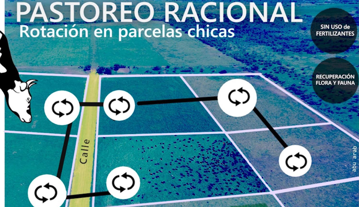 Ganadería regenerativa, un sistema de pastoreo racional que permite prescindir de agroquímicos