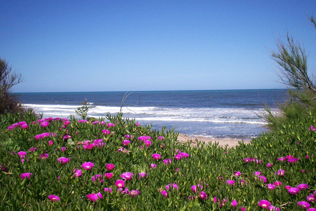 Desde el río hasta el mar, un popurrí de actividades para disfrutar en las playas 2 Desde el río hasta el mar, un popurrí de actividades para disfrutar en las playas