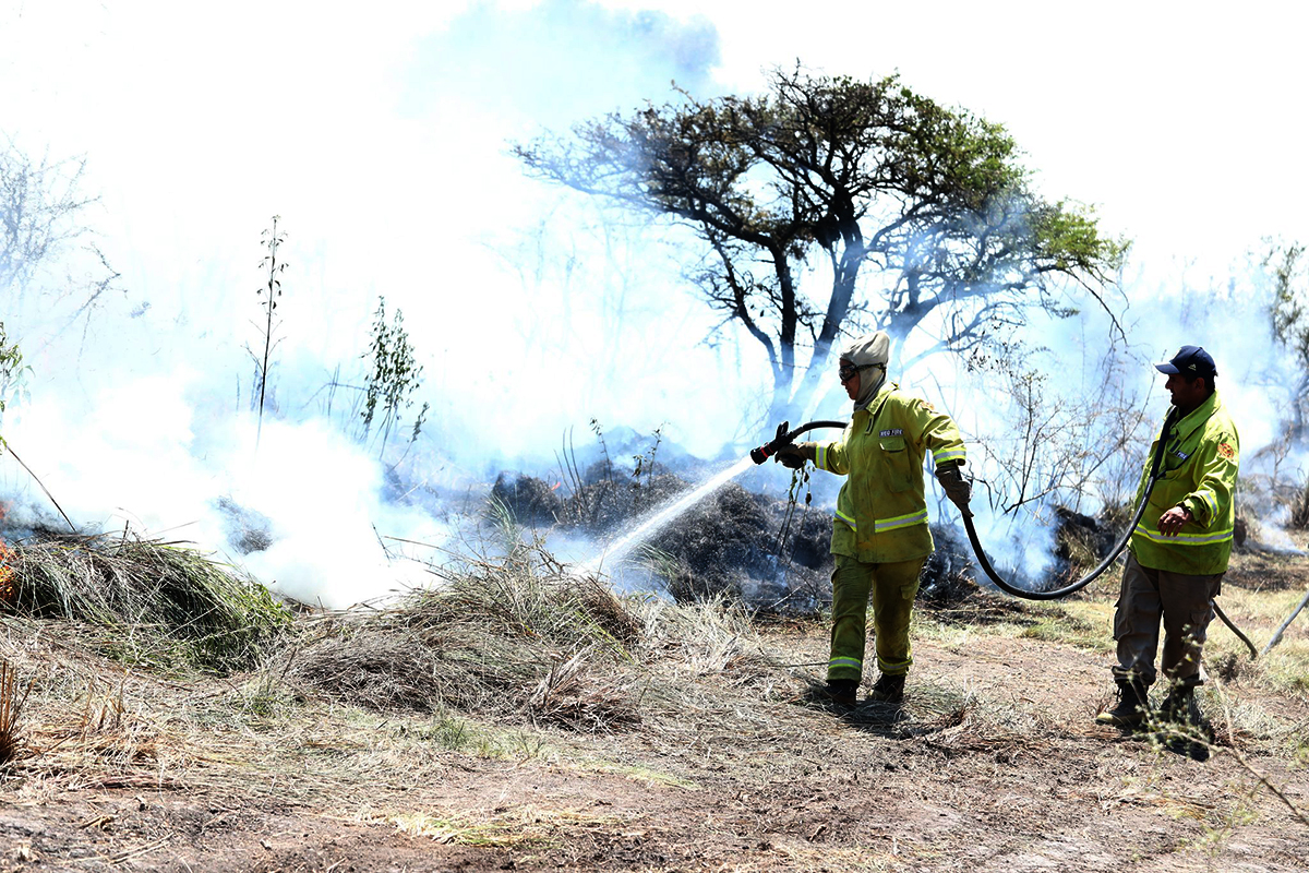 Argentina bajo fuego: en 2025 ya se quemaron casi 300 mil hectáreas 3 Corrientes