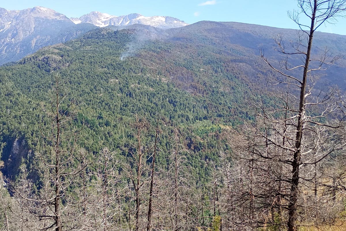 Incendios en el Sur: el fuego avanza ahora sobre Cholila y está fuera de control 3 Incendios en el Sur: el fuego avanza ahora sobre Cholila y está fuera de control