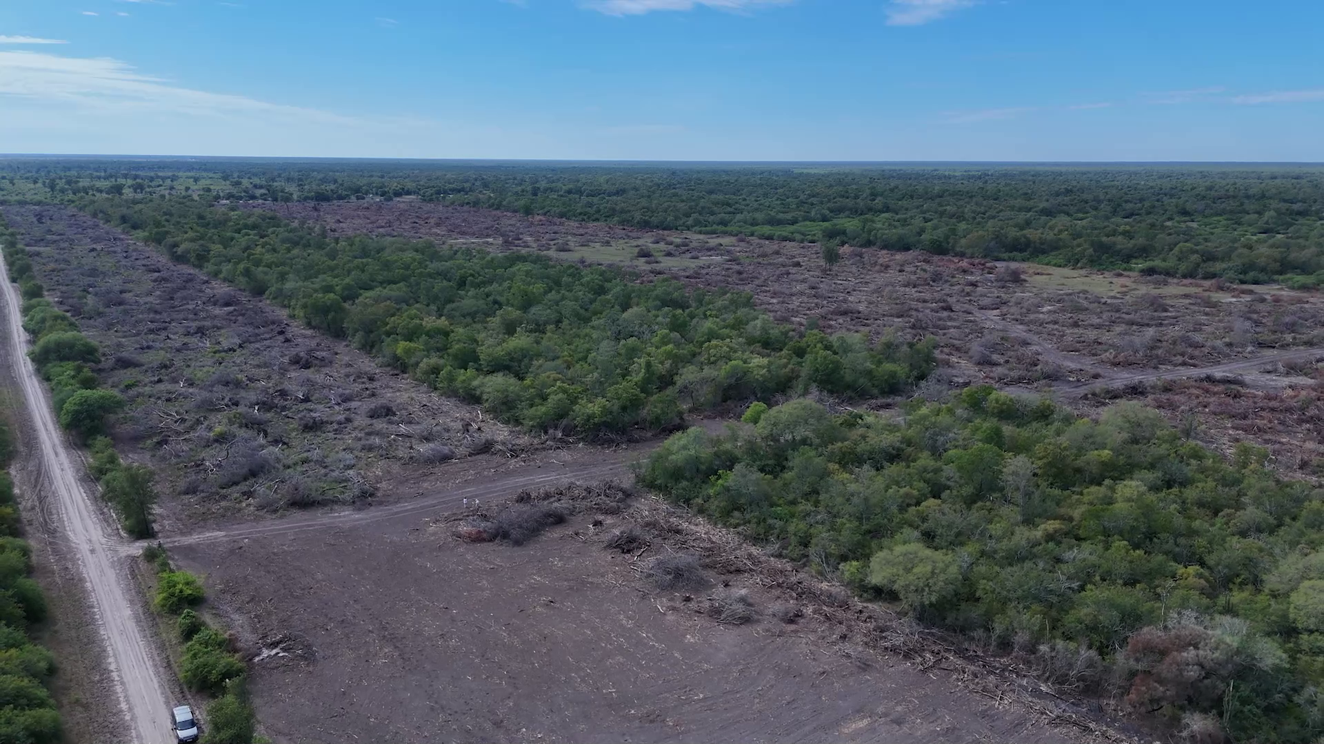 Denuncian ante la justicia la trama oculta detrás de "la mafia del desmonte" en Chaco