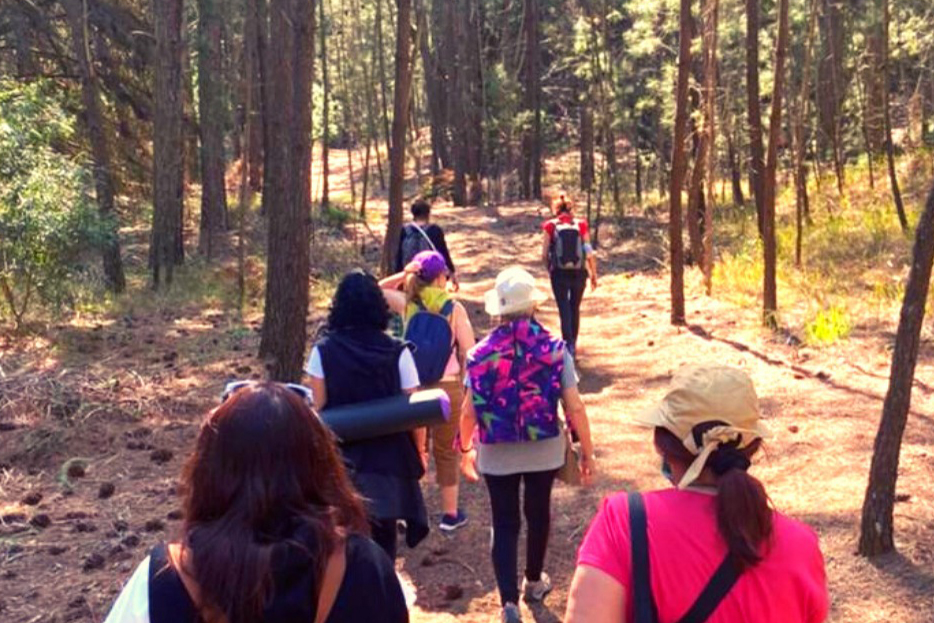 Arboterapia: el magnetismo y la mística del Bosque Energético de Miramar