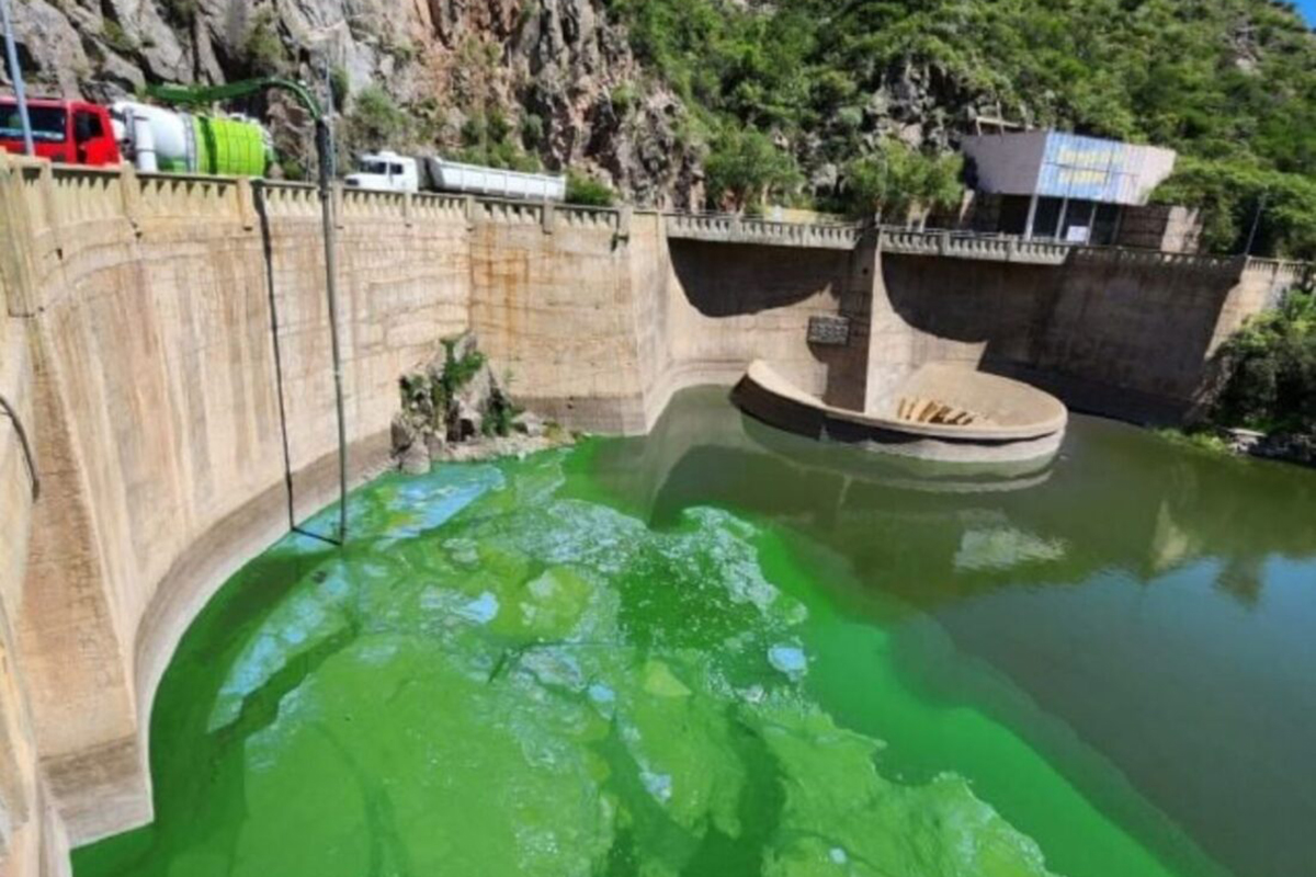 La Justicia ordenó a la provincia de Córdoba tomar medidas inmediatas para sanear el Lago San Roque 2 La Justicia ordenó a la provincia de Córdoba tomar medidas inmediatas para sanear el Lago San Roque
