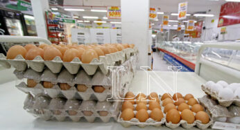 huevos