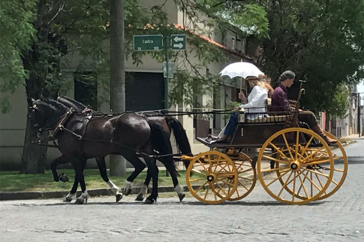 Cordero, pastelitos, miel, mitos y leyendas para este fin de semana sin lluvias 3 Cordero, pastelitos, miel, mitos y leyendas para este fin de semana sin lluvias