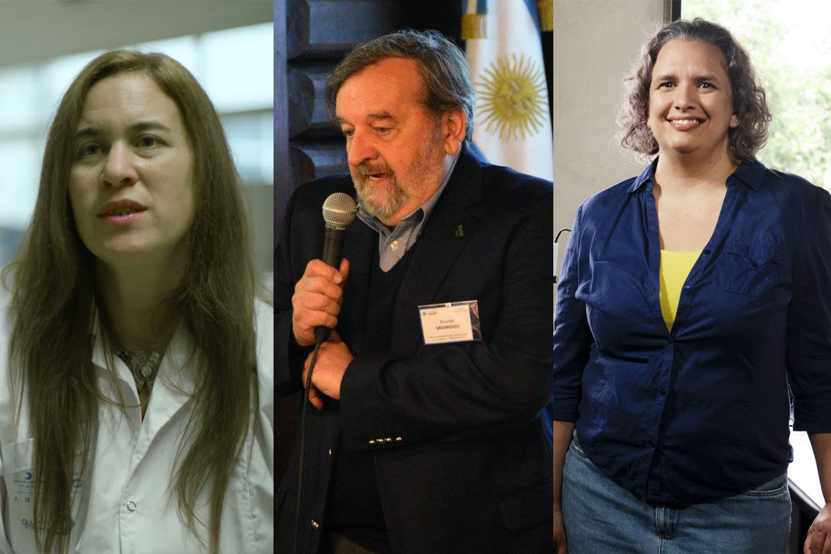 Nanotecnología, otra área científica abandonada por la «motosierra» del gobierno