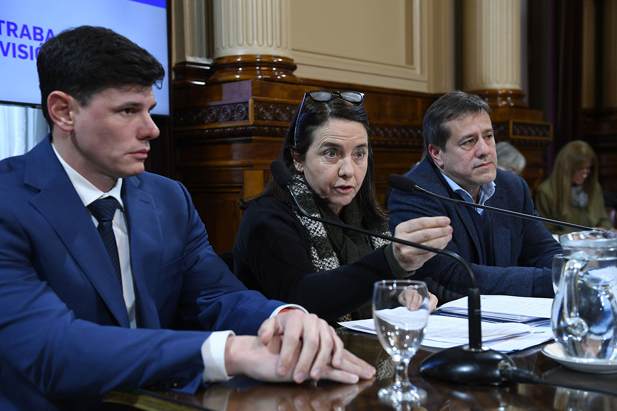 «No creo que los niños tengan derecho a venir al Garrahan a ser curados»