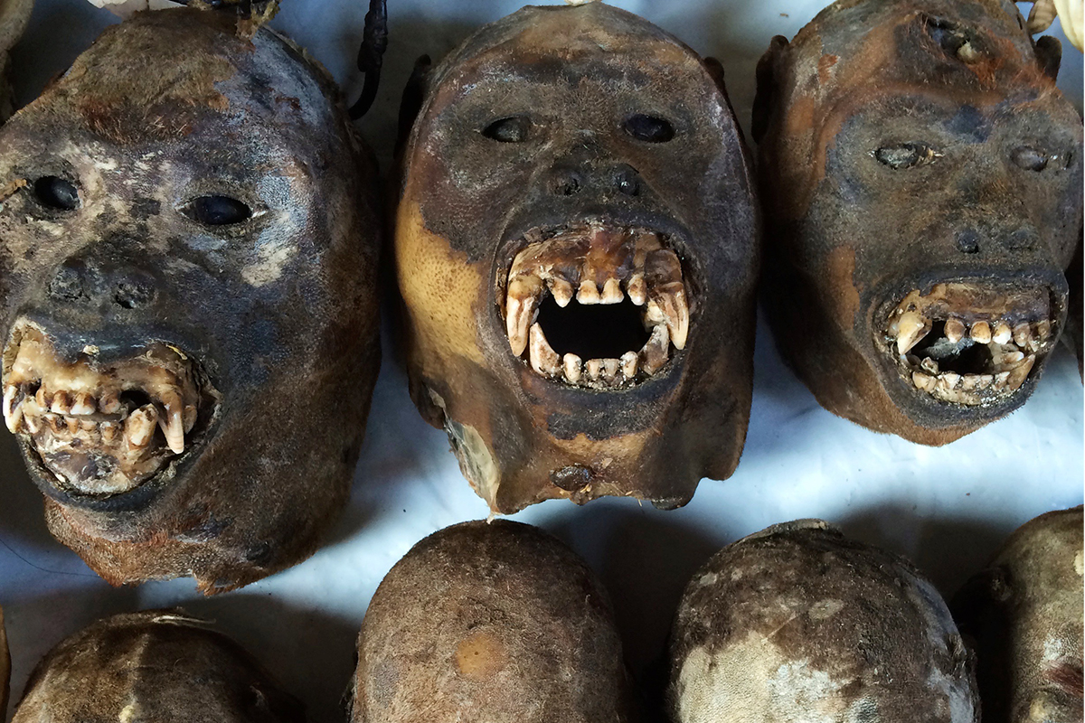 Sebastiano Mauri: "En la vida todos nos manejamos con máscaras"