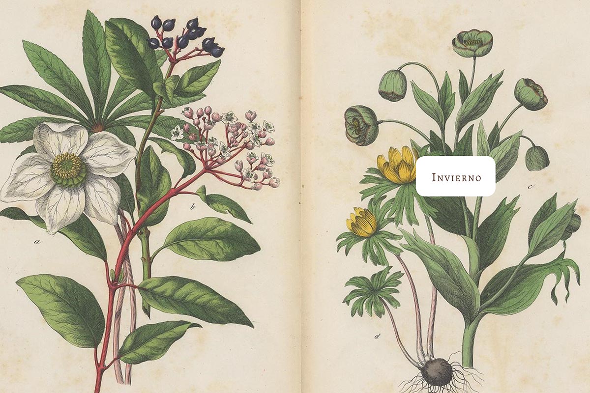 Diego Alfaro Palma: “Uno se ensucia las manos con tierra, del mismo modo que se las ensucia con tinta”