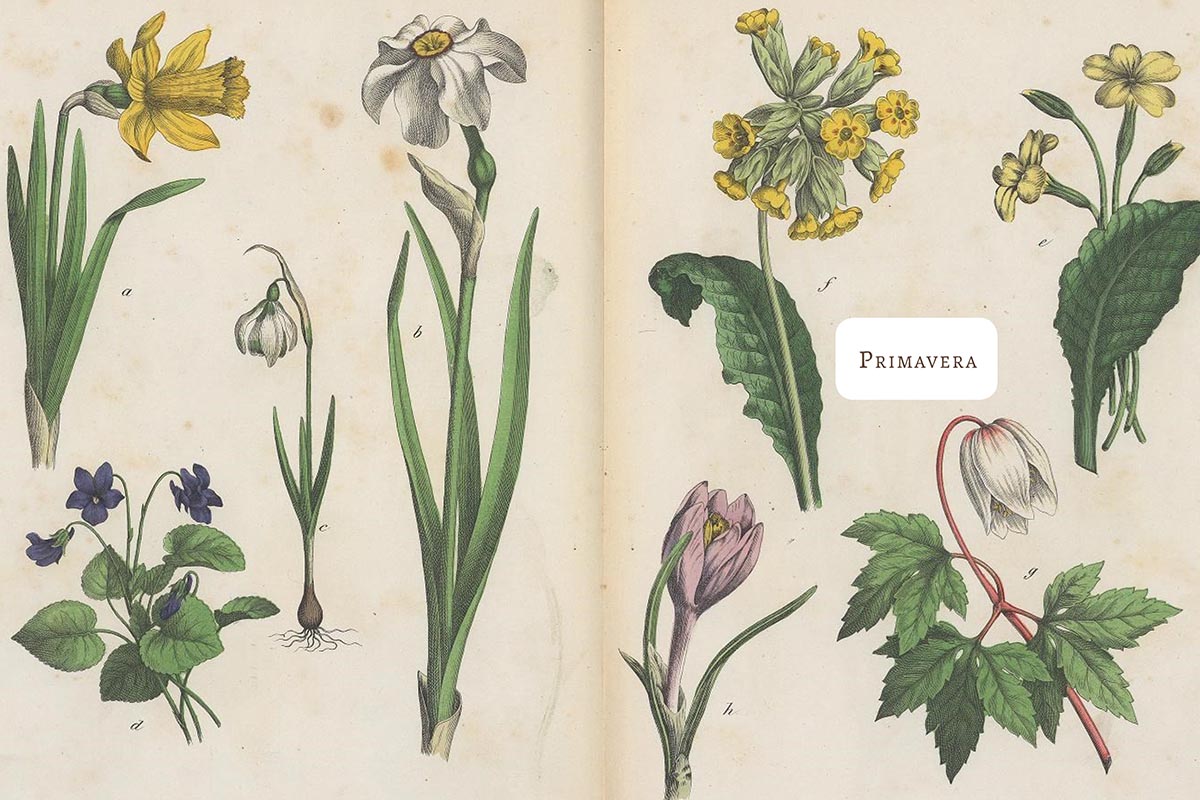 Diego Alfaro Palma: “Uno se ensucia las manos con tierra, del mismo modo que se las ensucia con tinta”