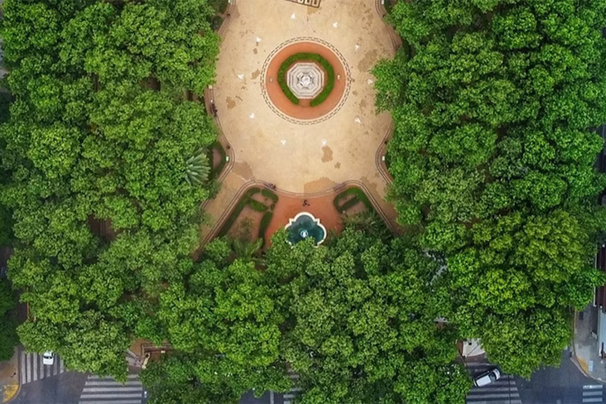 La desigualdad social también se ve en el acceso a los espacios verdes 2 La desigualdad social también se ve en el acceso a los espacios verdes