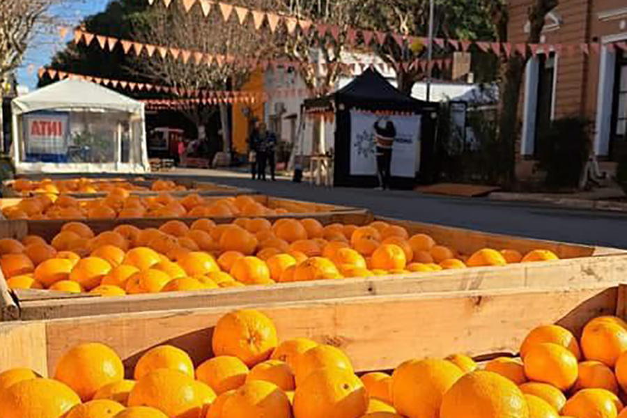 Todo sobre la Naranja de Ombligo, un fiestón que hace bailar a San Pedro
