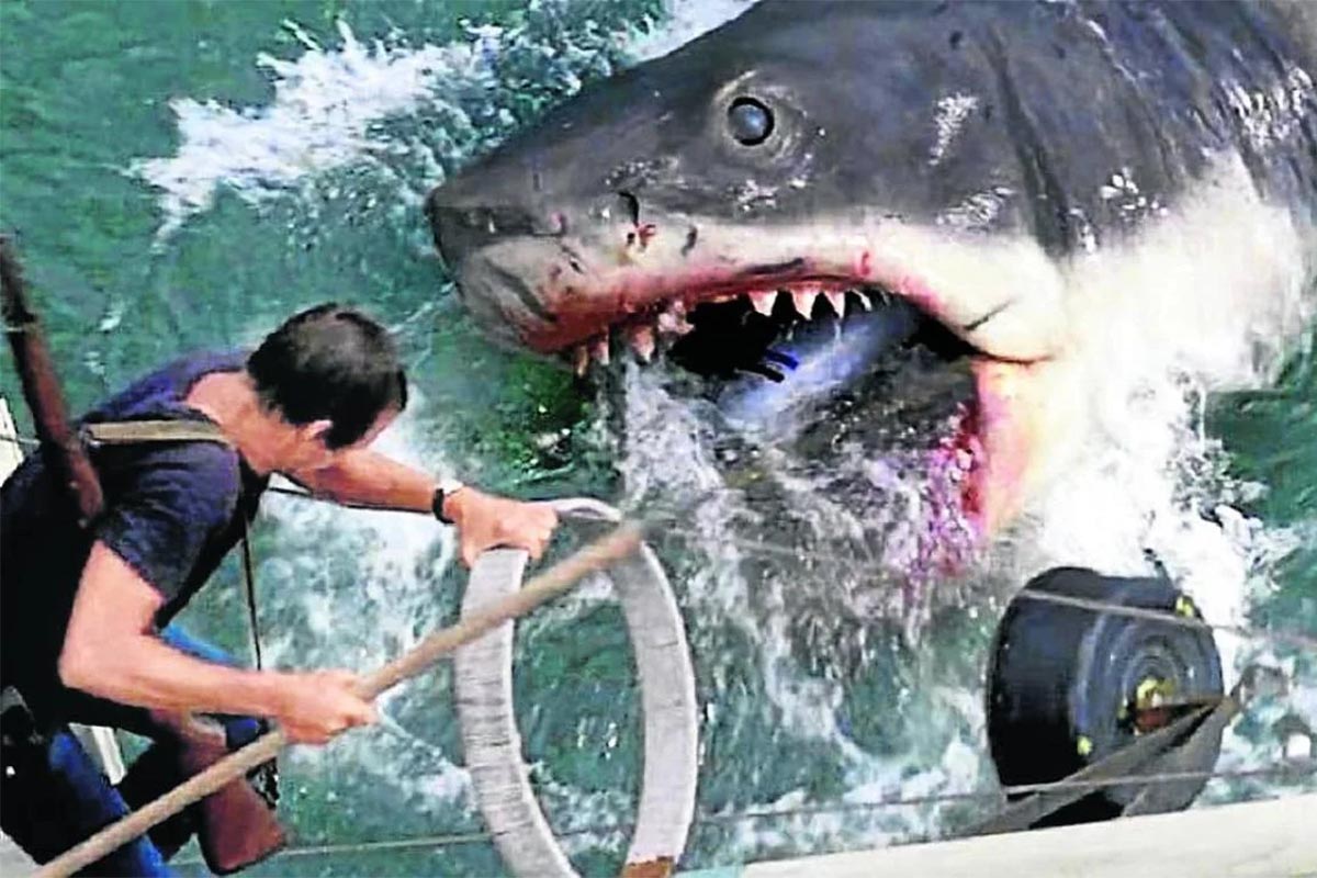A 50 años de “Tiburón”: el temor menos pensado que cambió para siempre el cine de suspenso