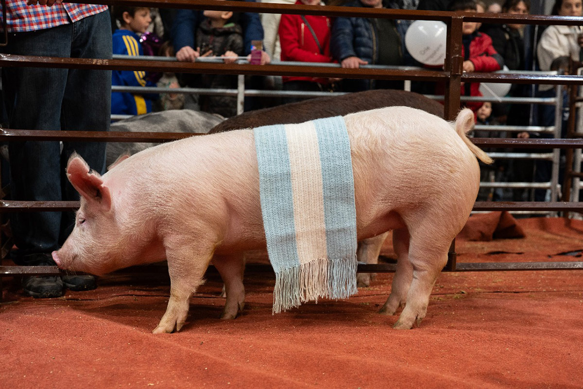 Relaciones carnales: Milei ante una Rural que exige baja de retenciones