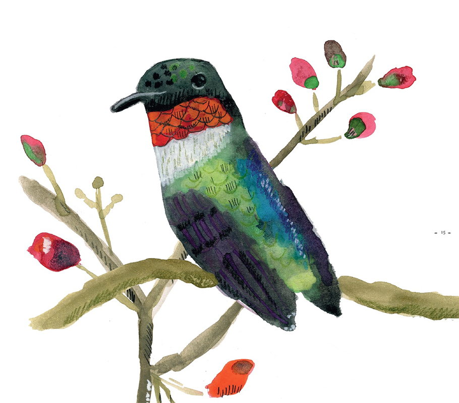 Tres libros para chicas y chicos curiosos con ganas de aventuras y de aprender de ciencias