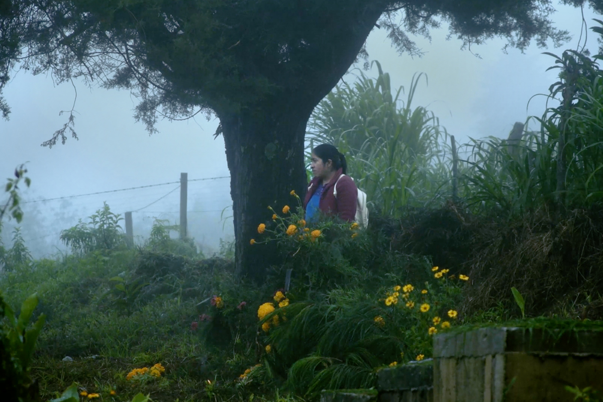 “Hijas del maíz”, cuando el parto se vuelve trinchera para sanar heridas y crear nuevos vínculos