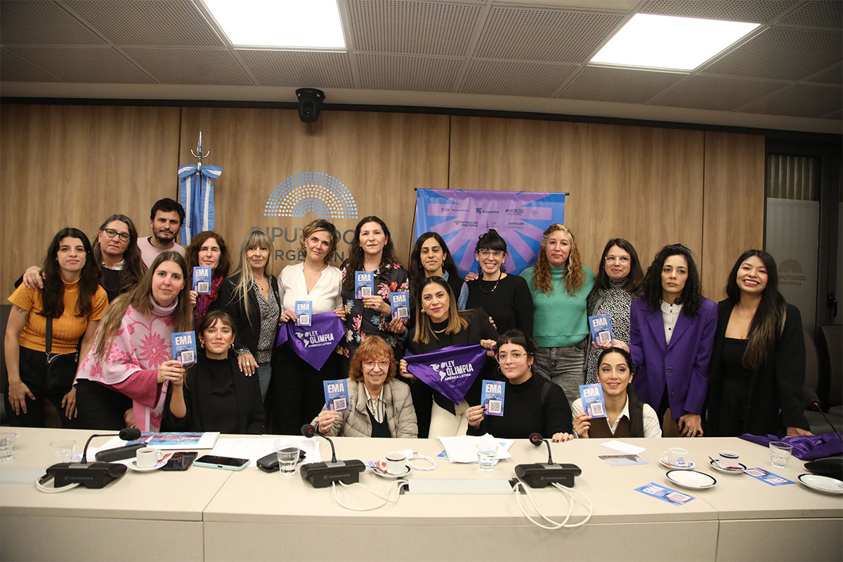 Guía Ema: un protocolo para abordar la violencia de género digital en ámbitos escolares