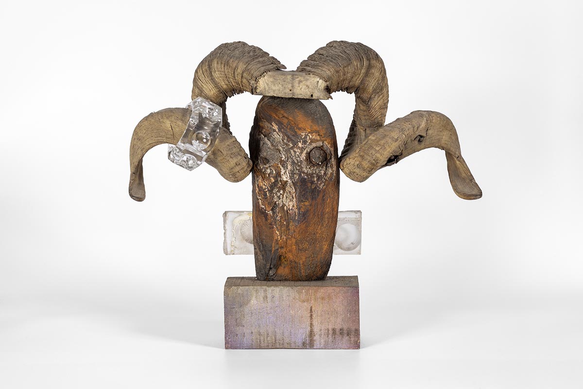 "Más aquí", una  mega muestra de  Rogelio Polesello