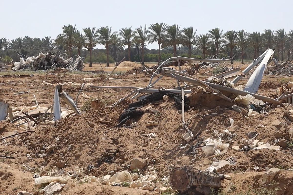 Por la ofensiva israelí, los gazatíes casi no disponen de tierras cultivables