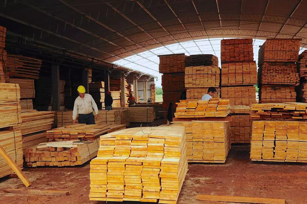 El insólito caso de Misiones, la provincia que siempre estuvo fuera de la red nacional de gas natural