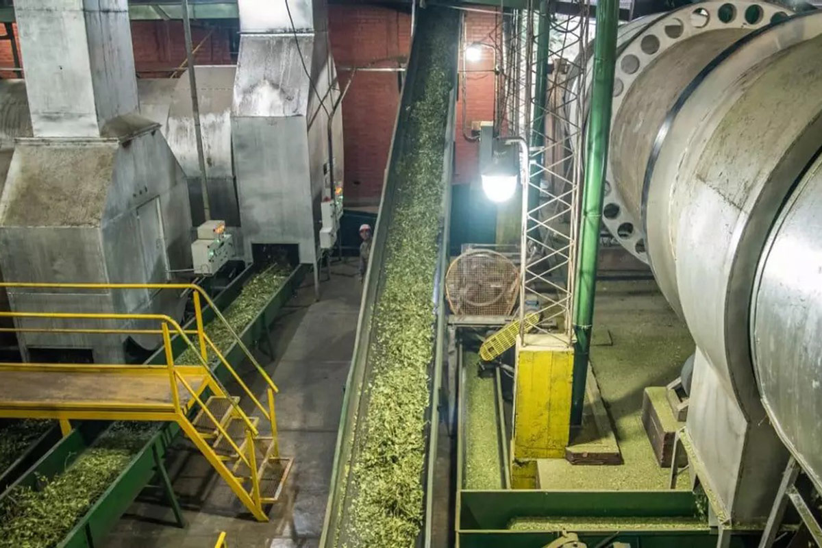 El insólito caso de Misiones, la provincia que siempre estuvo fuera de la red nacional de gas natural