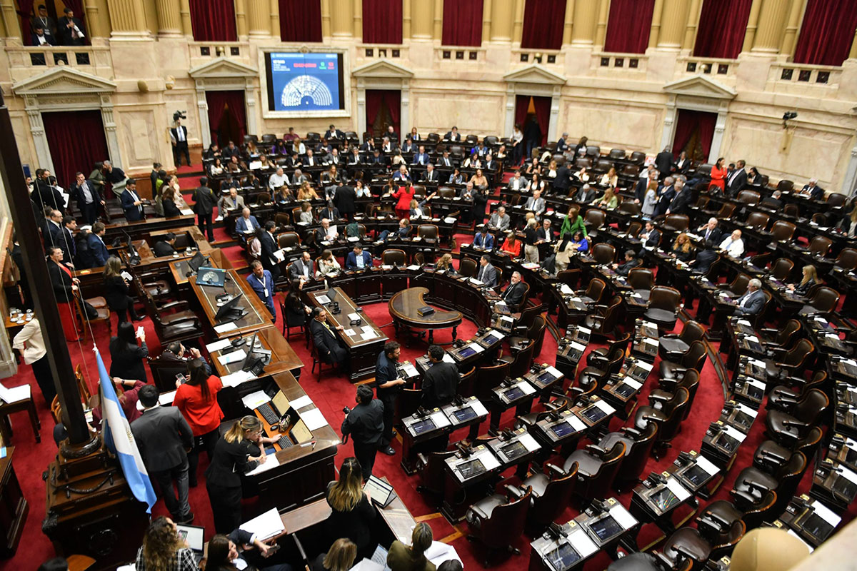 Emergencia en discapacidad: diputados de la oposición ampliarán la denuncia contra el Gobierno