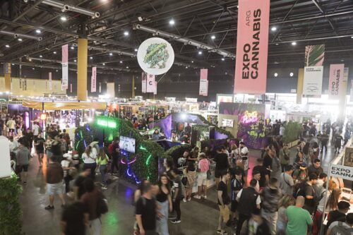 Expo Cannabis 2025, una feria que va desde la cata de café a los hongos medicinales