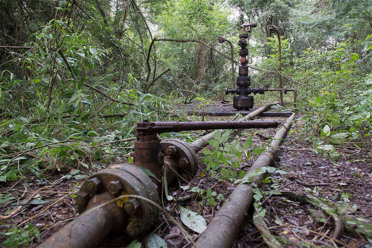 La Corte Suprema condenó al Estado Nacional, a Jujuy y a dos petroleras por la contaminación del Parque