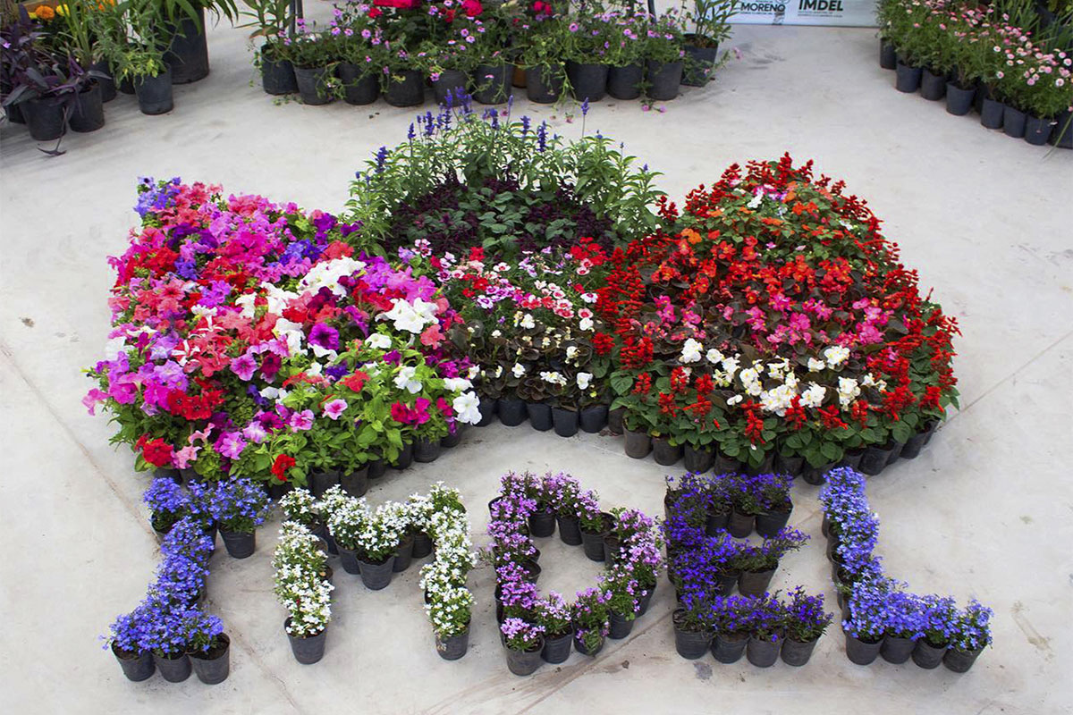 Dónde celebrar y recibir a la primavera