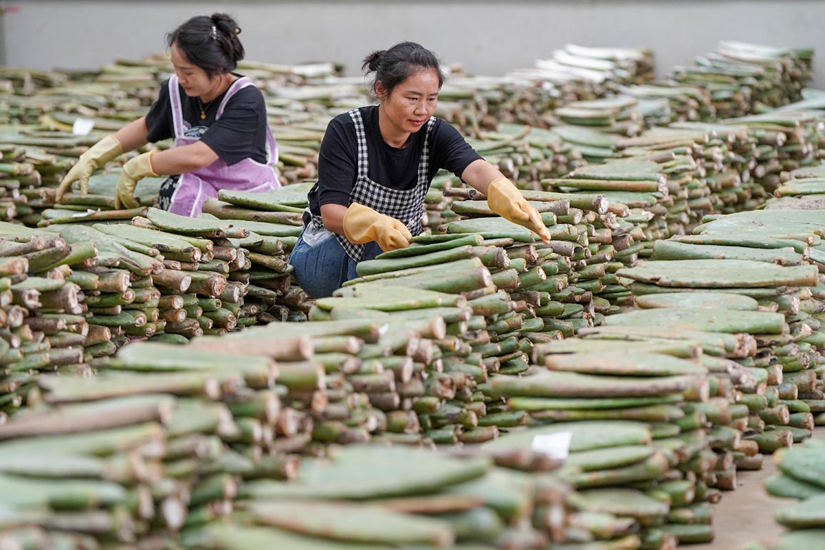 Las mujeres chinas sostienen la mitad del cielo
