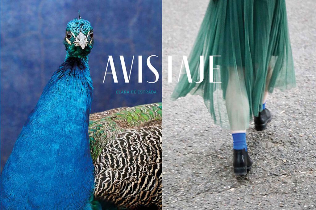 "Avistaje", un libro que juega a poner en el espejo a personas y animales