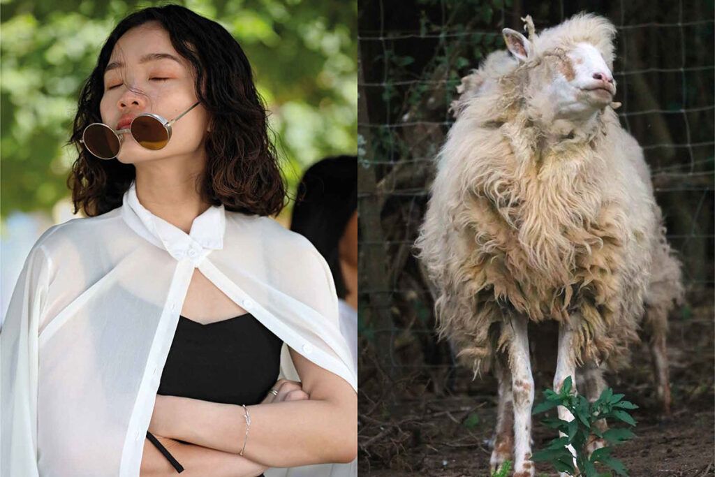 "Avistaje", un libro que juega a poner en el espejo a personas y animales