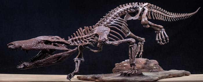 Descubren restos de dinosaurios velociraptores con plumas y de un cocodrilo “temible”