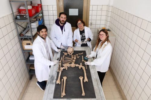 Huesos bajo la lupa: las colecciones de esqueletos de la Universidad de La Plata para estudiar la artrosis