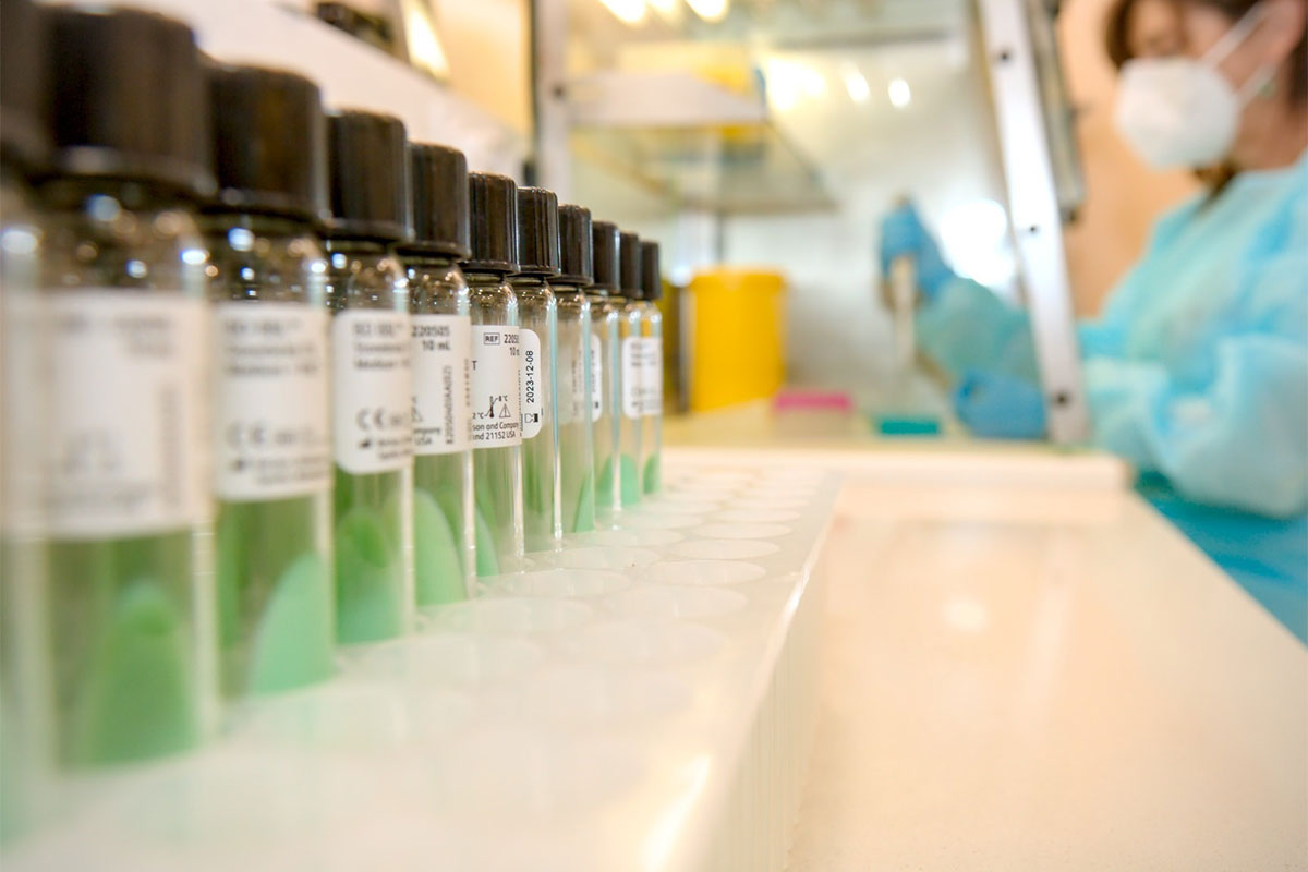 Florida: la peste como purga