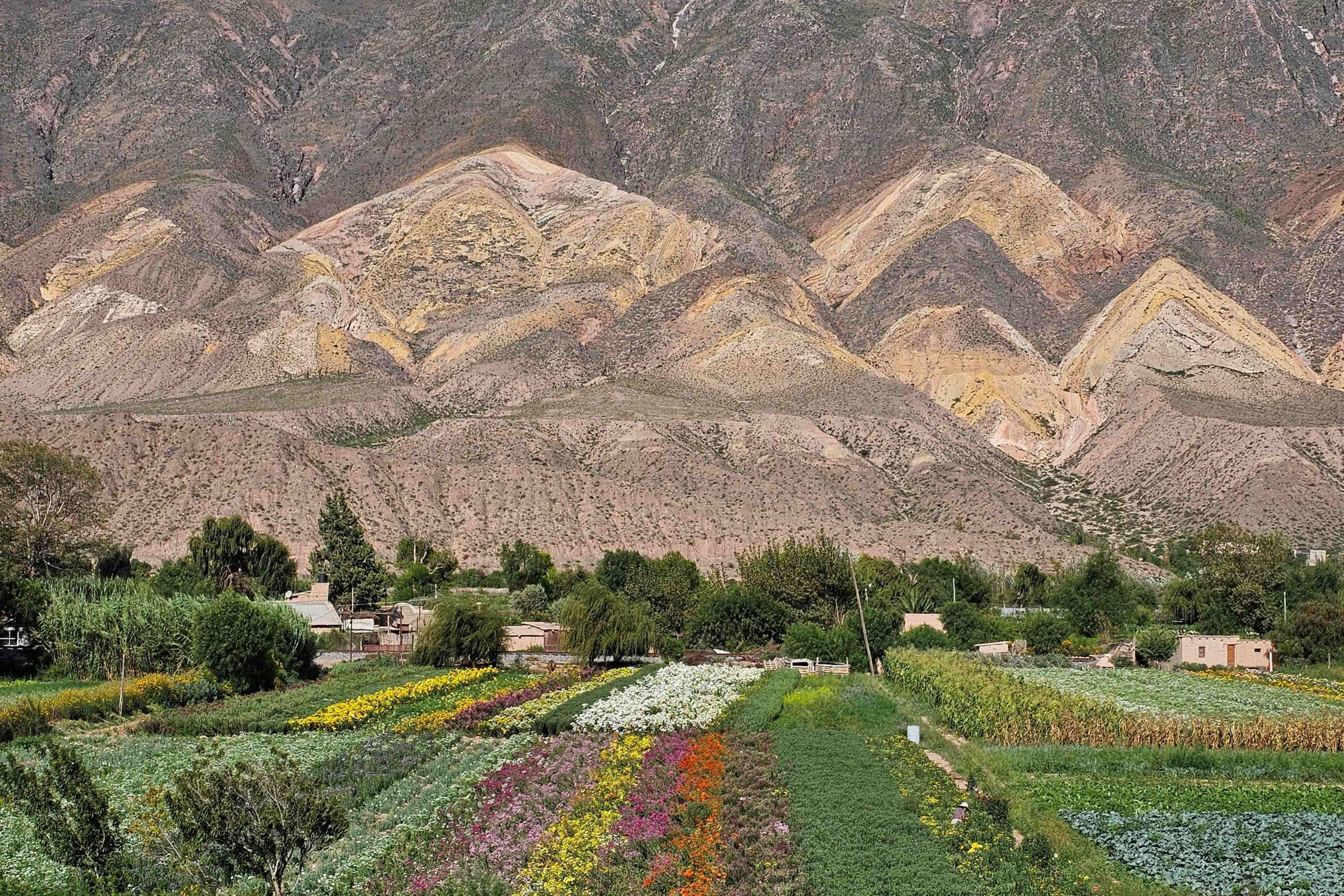 Los motivos que convirtieron a Maimará y Colonia Carlos Pellegrini en mejores pueblos del mundo