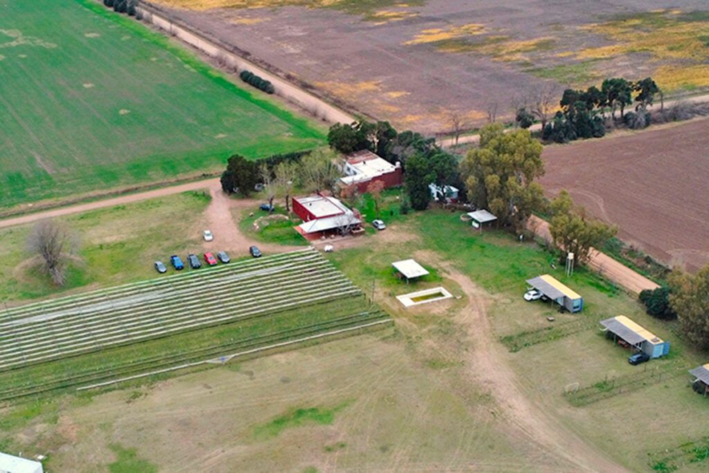 La oda al vino: dónde celebrar y tomarse una copa en territorio bonaerense