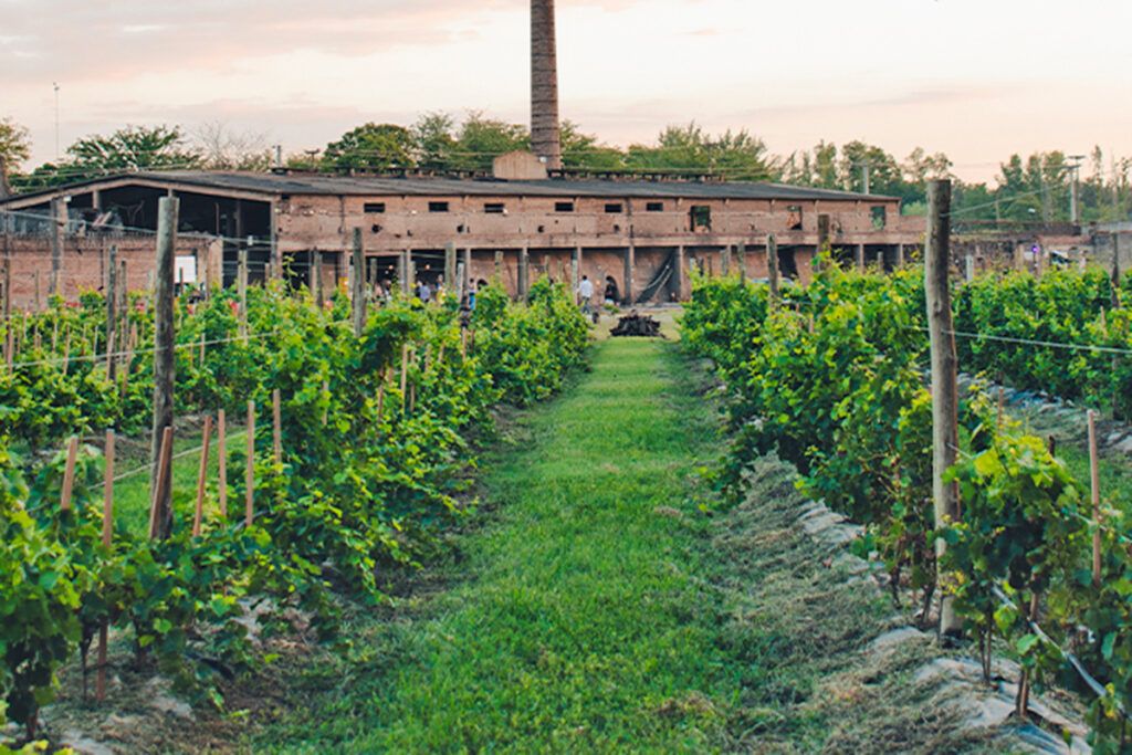 La oda al vino: dónde celebrar y tomarse una copa en territorio bonaerense