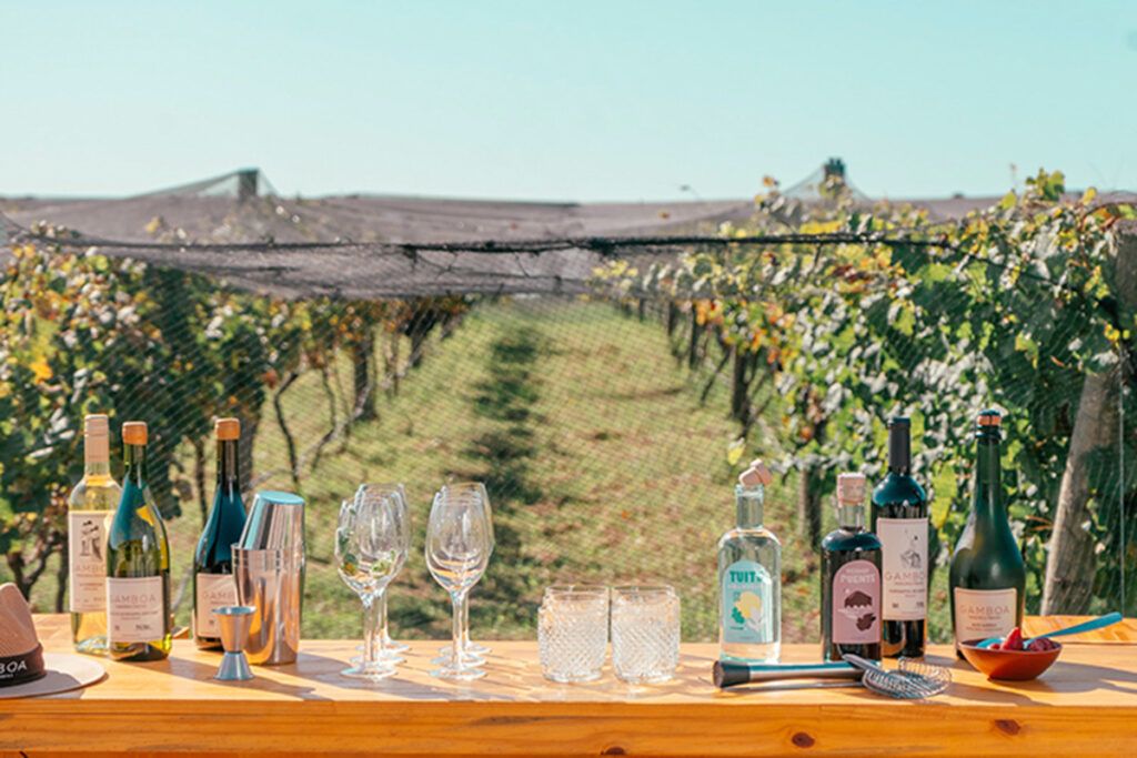 La oda al vino: dónde celebrar y tomarse una copa en territorio bonaerense