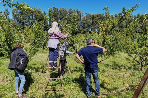 Paritarias y el valor del trabajo rural